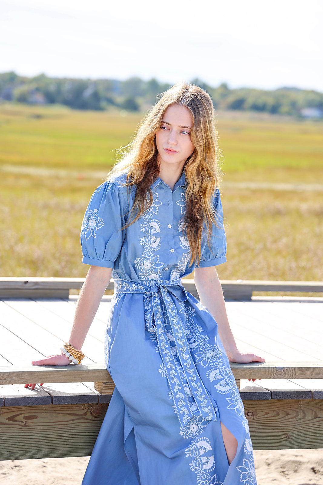 Watch Hill Cotton Poplin Dress - Blue Pre-Order for Mid June Delivery